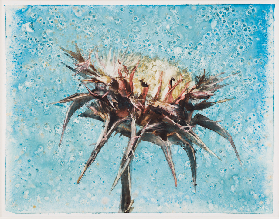 Molly Segal, "Flowers For Difficult Women, Lottie"