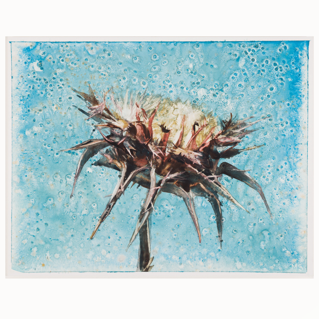 Molly Segal, "Flowers For Difficult Women, Lottie"