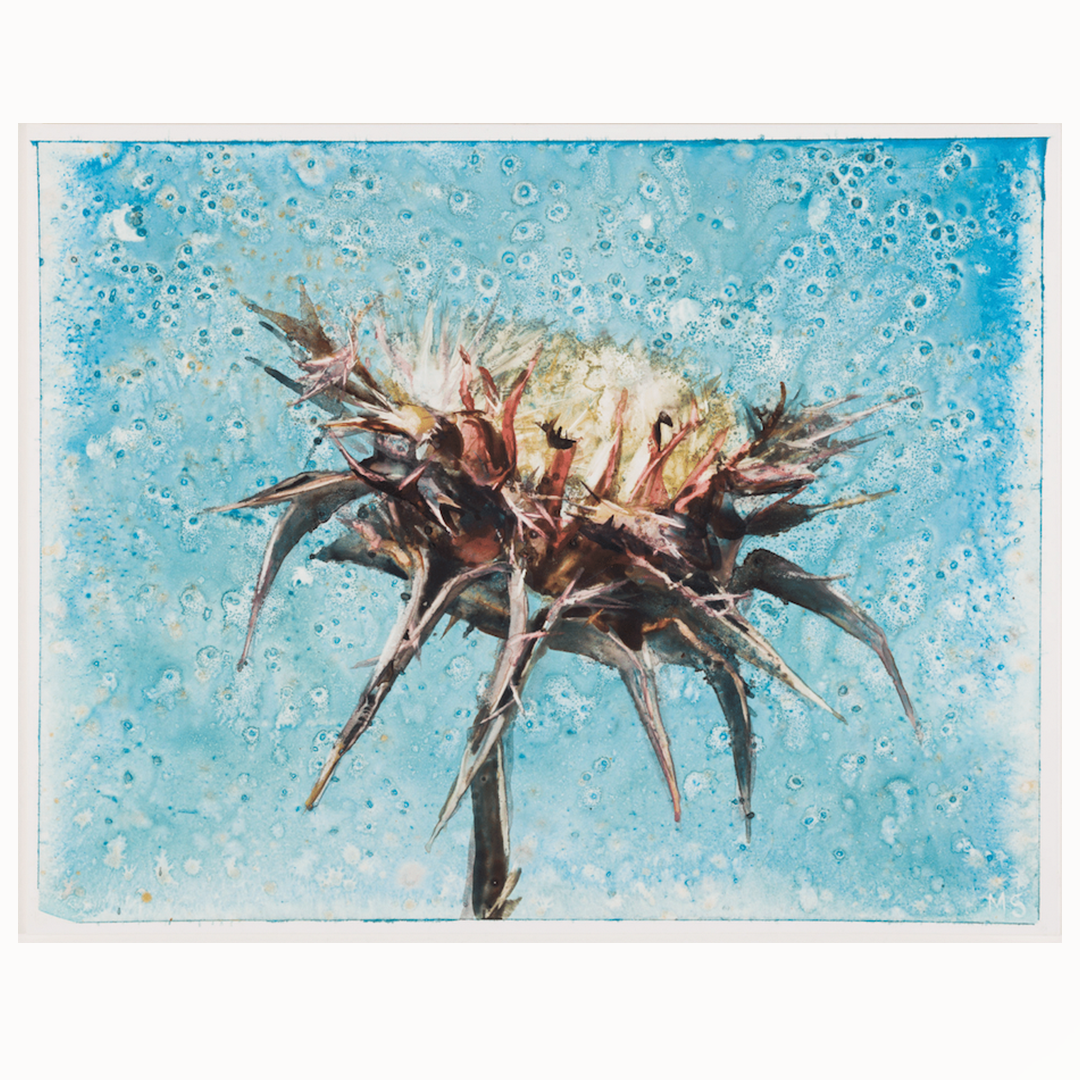 Molly Segal, "Flowers For Difficult Women, Lottie"